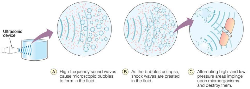 Ultrasound High frequency sound waves propagated in liquids