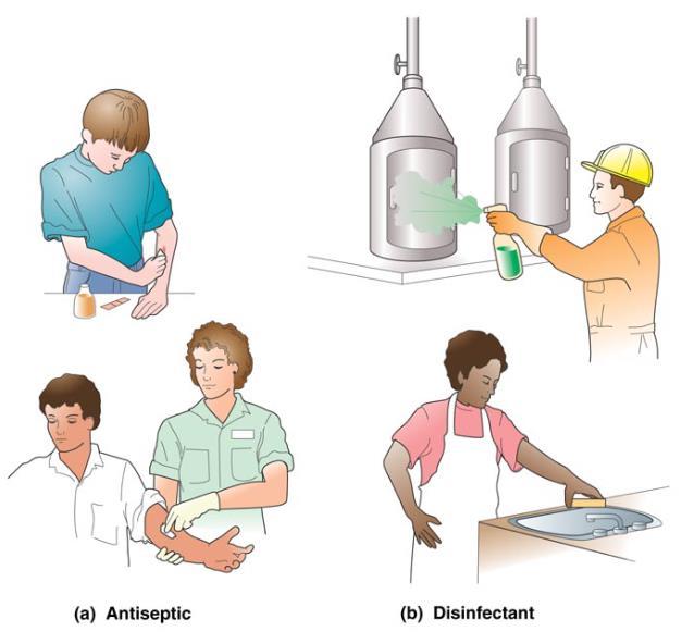 Antiseptics and disinfectants Antiseptics: