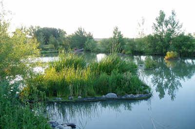 What makes this practice potentially appealing to some of the Grand Haven ponds is it would allow the functional equivalent of littoral shelf plantings in those ponds that