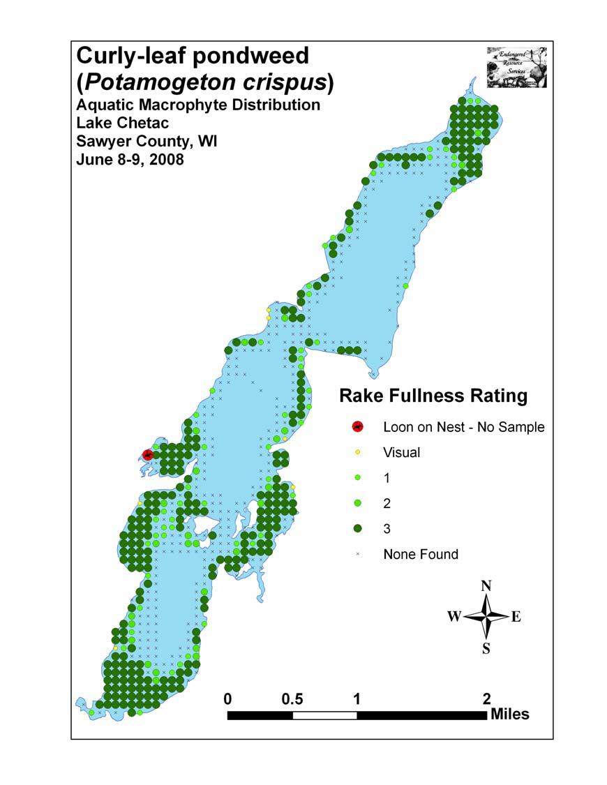 25-35% of the lake s surface area (depends on what surface area you use) 66% of littoral (plant growing) zone 621 acres