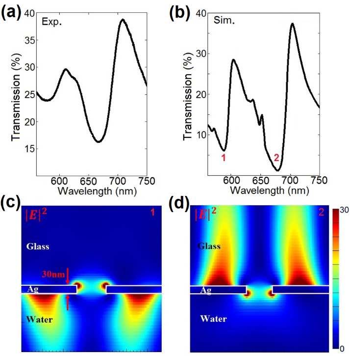 Fig. 4.8 (a) Measured and (b) simulated optical transmission spectra (TM polarization) through 30nm-thick Ag nanogratings with a period of 420nm and slit-width 110nm.