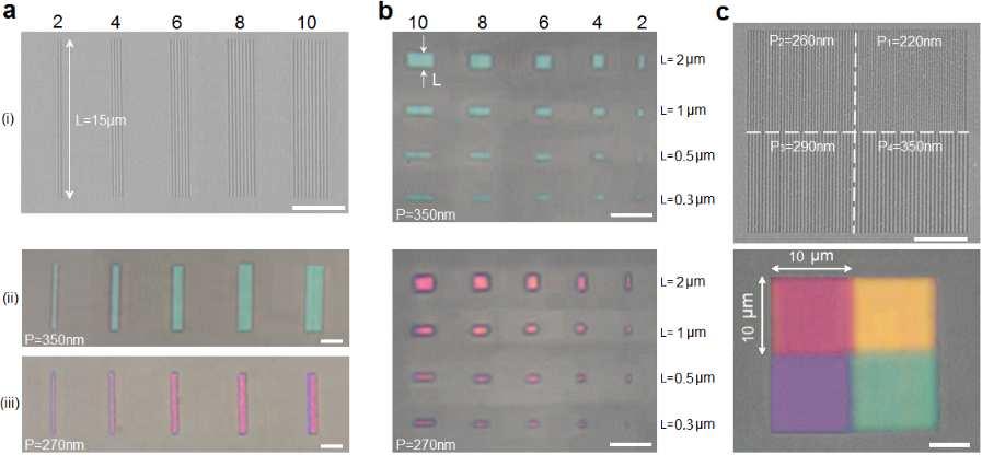 Fig. 3.6 Ultra-compact and high-resolution plasmonic subtractive color filters. (a) SEM image (i) of plasmonic SCFs with 2, 4, 6, 8 and 10 nanoslits of period P=350nm.