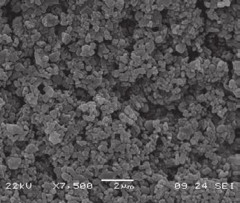 P172HPB Particle Size D50 (Sedigraph) SiO 2 MgO Crystal Size D50 P172HPB 8.50 0.40 99.90 80 130 180 150 500 0.40 P172HPB is a further processed P172LSB, with an enhanced chemical purity.