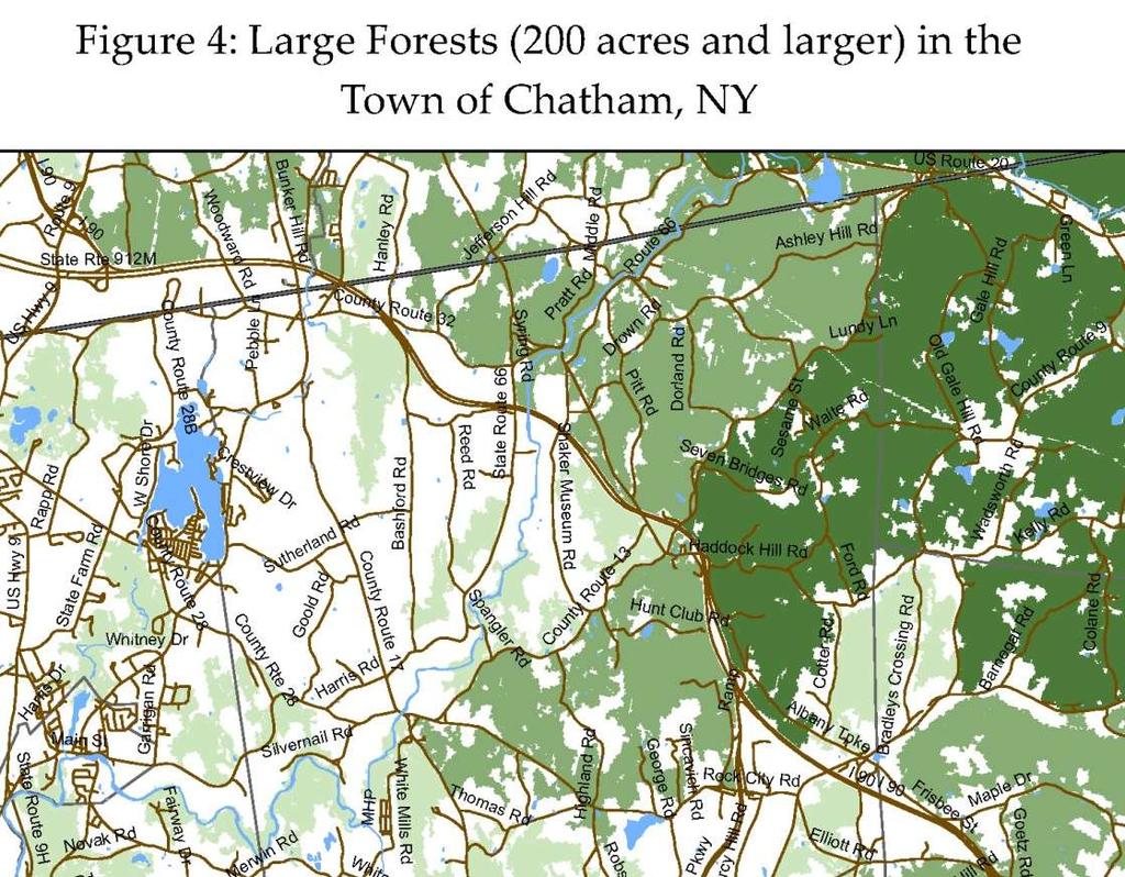 Large forests that