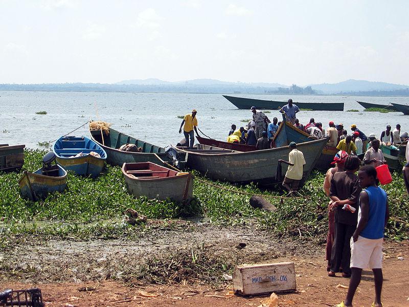 The problem Fish depleted in lakes Over 1.0million unemployed.