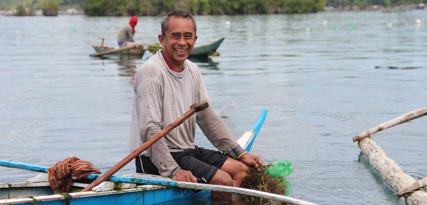 SUMMARY OF FINDINGS COASTAL LIVELIHOODS On average, nearly 84 percent of survey respondents are continuing the livelihood activities introduced through the projects. 30.