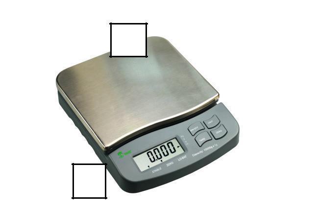 Weight Scale Construction