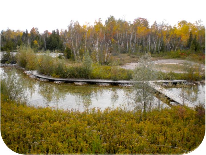 To enhance and enlarge existing wetland areas and to create new wetland areas to provide enhanced wetland hydrologic function to reduce the impacts of high water events