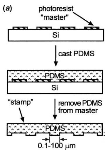 Key Features of Soft lithography Poly(dimethylisiloxane) Stamps (PDMS) for