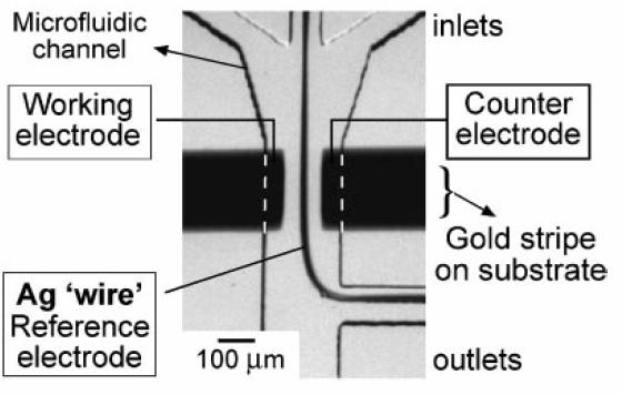 Key Features of Soft lithography Microfluidic systems