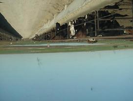 A bermed feedlot contains polluted runoff.