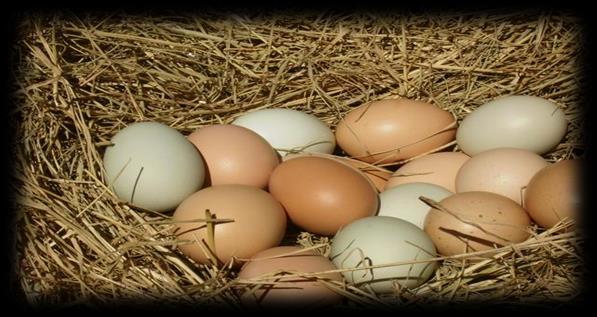 Farmers Markets Farm /Yard Eggs Production of the individual s own flock directly to the consumer;