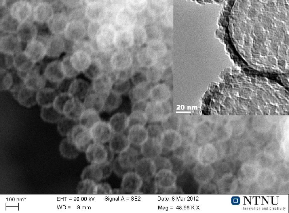 silica nanospheres can