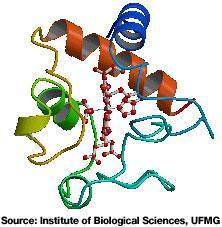 Why are proteins important? Make up important structures like muscles and cell membranes.