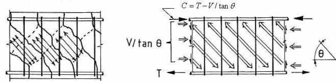 C =T V / tan V / tan (a) Diagonal compression (b) Truss action Figure 5 Truss action in plastic hinge zone [1] Removing the compression extension effect from the experimental results and comparing