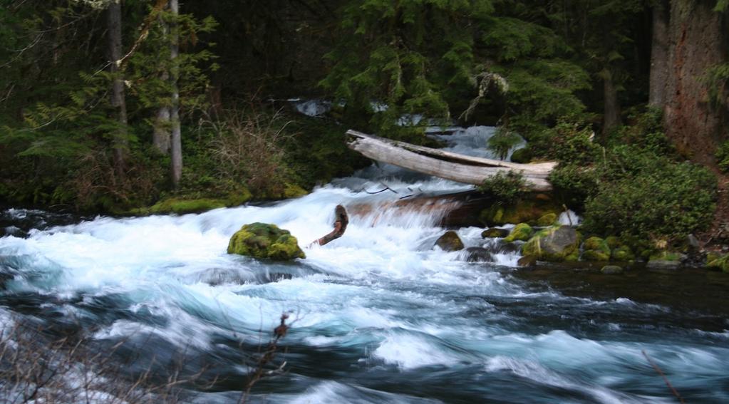The McKenzie River provides drinking water to the Eugene, OR area.
