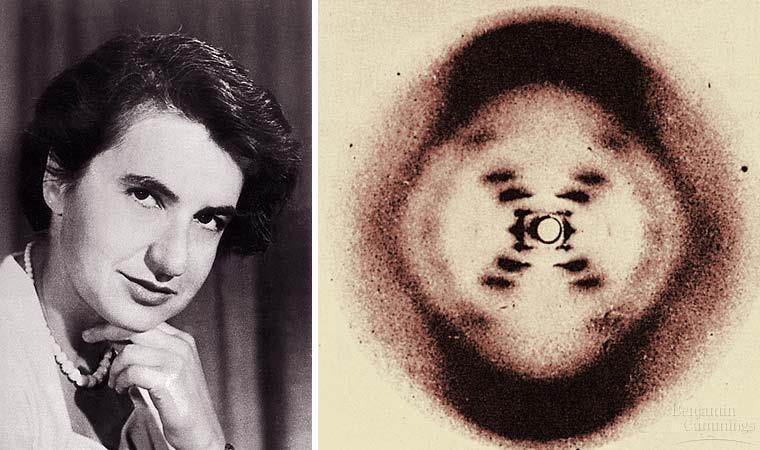 photographs of DNA (Photo 51) Watson and Crick used her data revealed