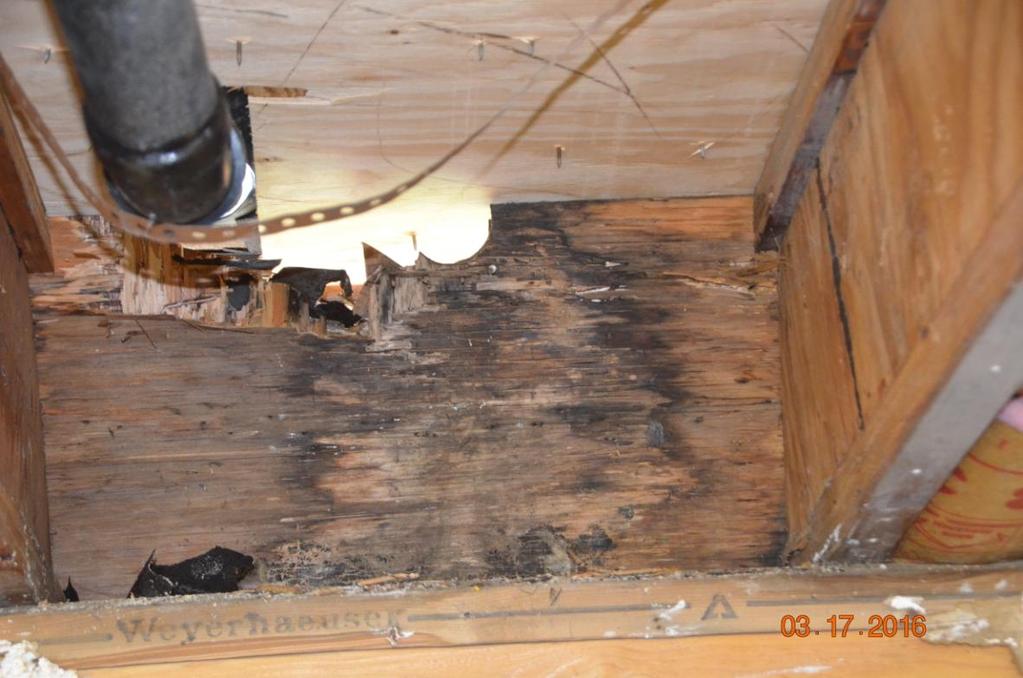 MOLD IN A RAFTER CAVITY.