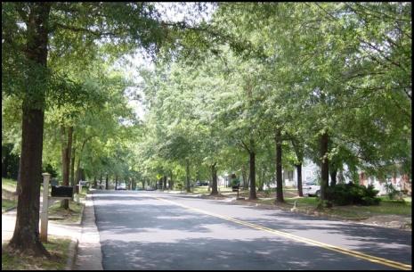 4.k. Maintaining Viable Urban Forests Key Findings Urban areas within the Piedmont Crescent are high-priority areas for tree conservation and planting efforts to improve local air quality.
