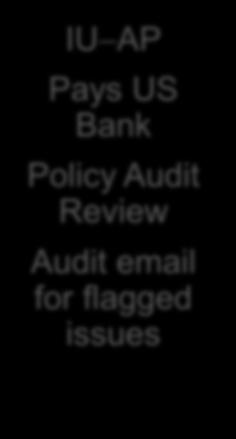 Policy Audit Review