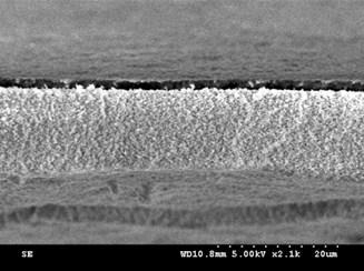 0 μm 10 μm 0 350 400 450 500 550 600 650 700 750 Wavelength (nm) (d) Wavelength (nm)