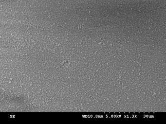 S5 (a) SEM images of SiO 2,