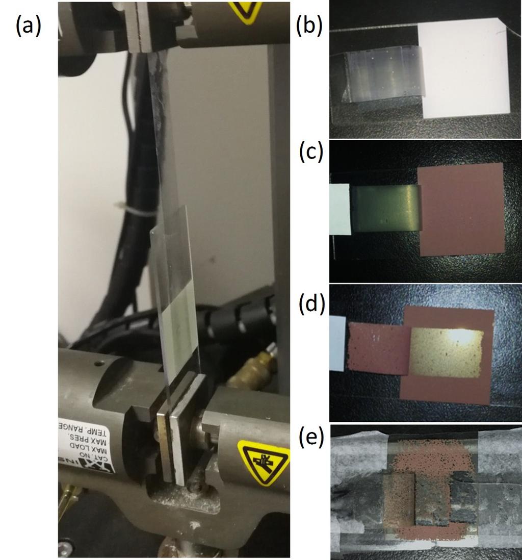 Fig. S6 (a) Photograph of lap-shear test by tape-tearing form of SiO 2 arrays.