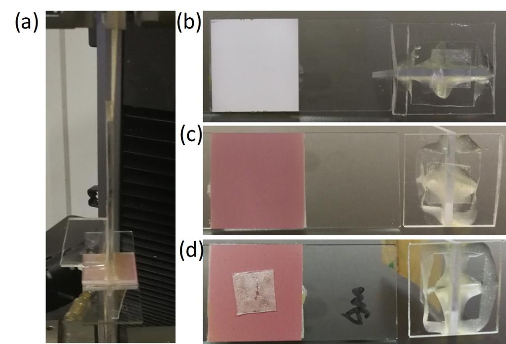 Fig. S7 (a) Photograph of lap-shear test of cohesive failure tensile of PDA@SiO 2 arrays.