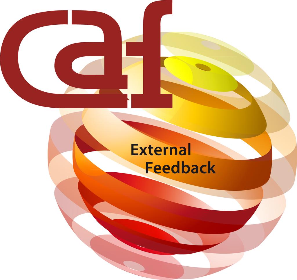 Description of the Procedure for External Feedback organised by the European CAF Resource Centre I. II. III.