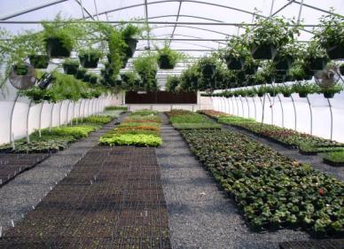 Greenhouses Use both electricity and heat.