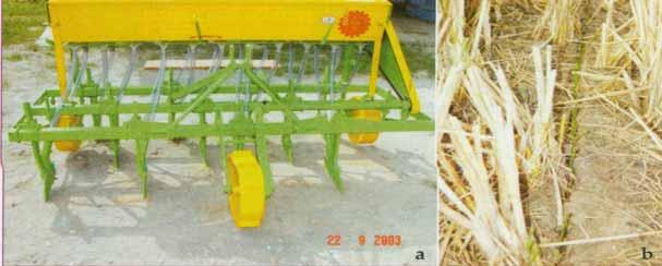 Zero tillage in wheat cultivation Treatments : T1:Zero till