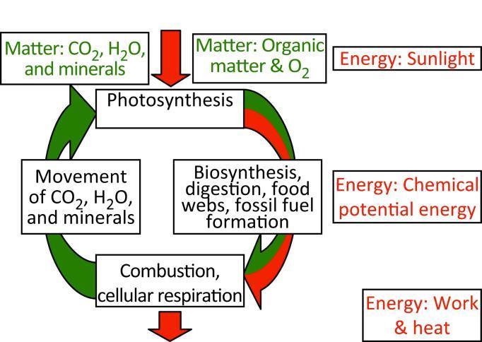 Matter Cycles, Energy Flows