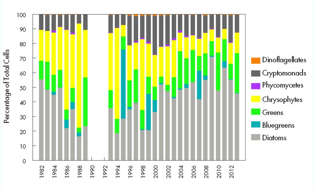 Annual distribution of algal groups Yearly since 1982 The amount of algal cells from different groups varies from year to year.