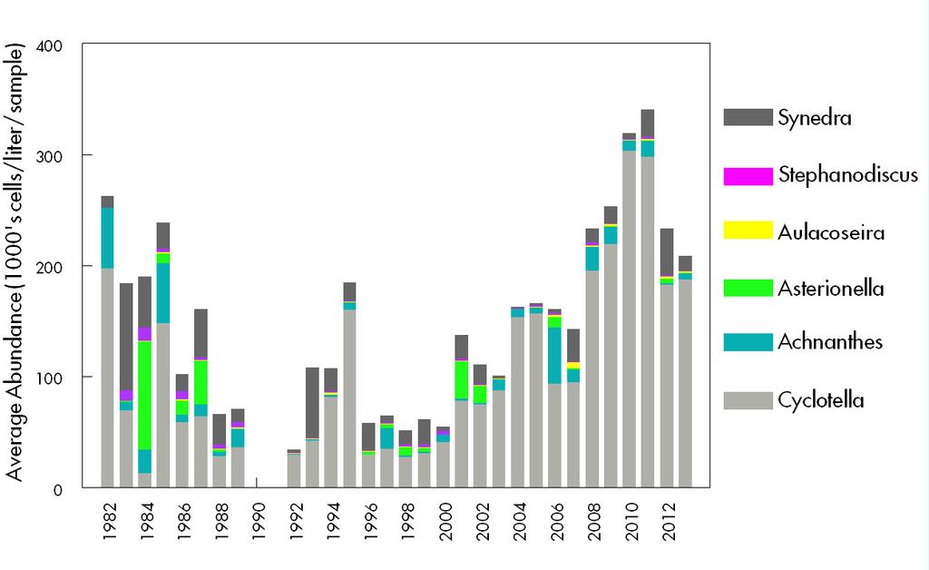 Abundance of dominant diatom species Yearly since 1982 Diatoms have been the dominant algal group at Lake Tahoe for all but a few years since 1982.
