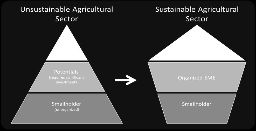 resources with increasing negative externalities. The optimum exists around the diamond shape (shape 3). This does not mean that a diamond shaped sector is sustainable by default.