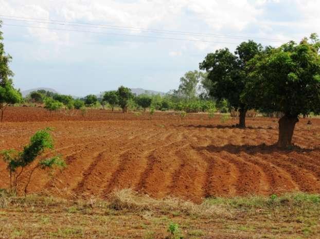 HOE TILLAGE Annual Dry Season Ridge Splitting - Malawi Annual soil movement 300 tons/ha Total in Malawi > 540 million tons