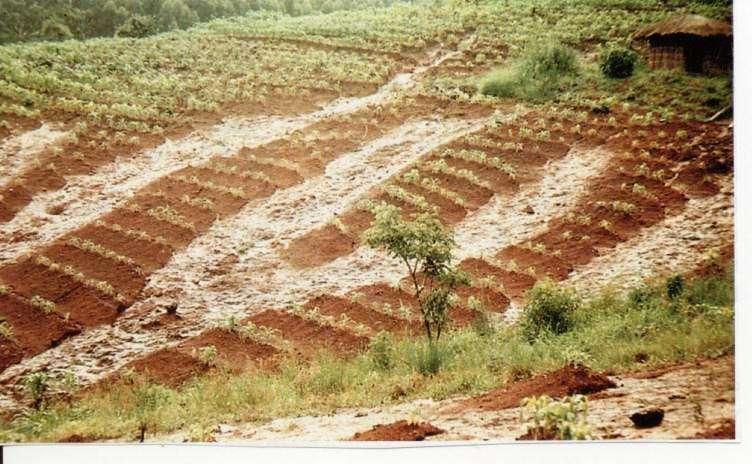 Catastrophic Soil Erosion on Steeper