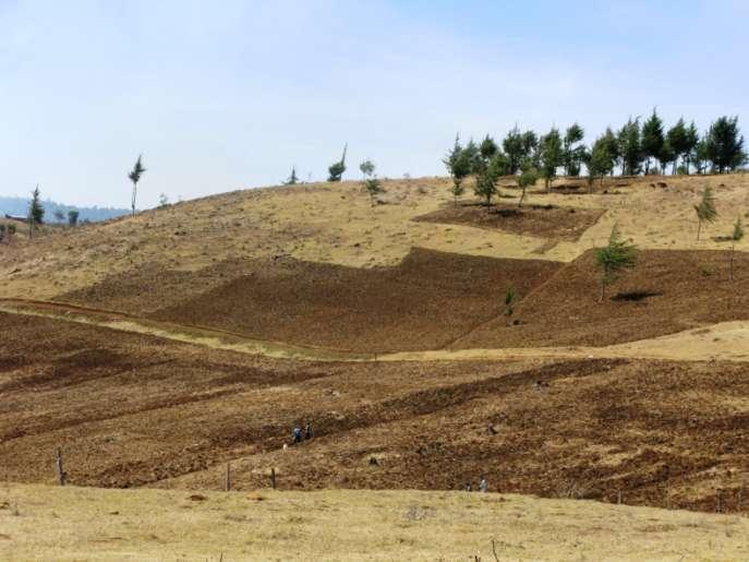 Hoe Farming: Overall digging Kenya Kenya highland soils have better structure and higher infiltration rates than soils in Zambia or Malawi where farming slopes like this without Vetiver strips or