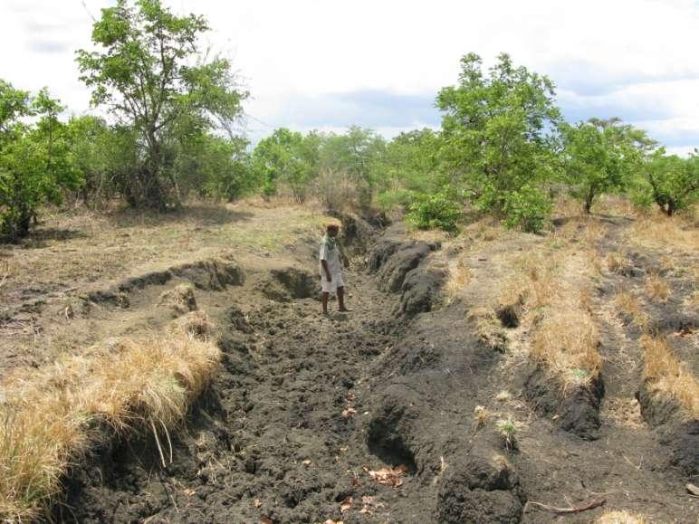 Estimates of land degradation in Africa range from alarming to catastrophic and are difficult to verify.