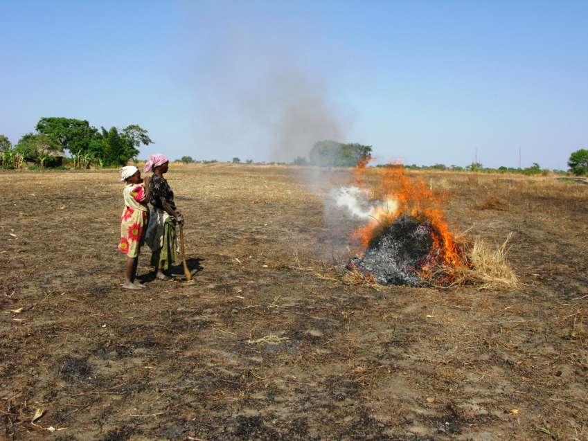 BEFORE FARMERS EVEN COMMENCE TILLAGE MANY BURN OFF RESIDUES Zambia BURNING IS A COSTLY MISTAKE!