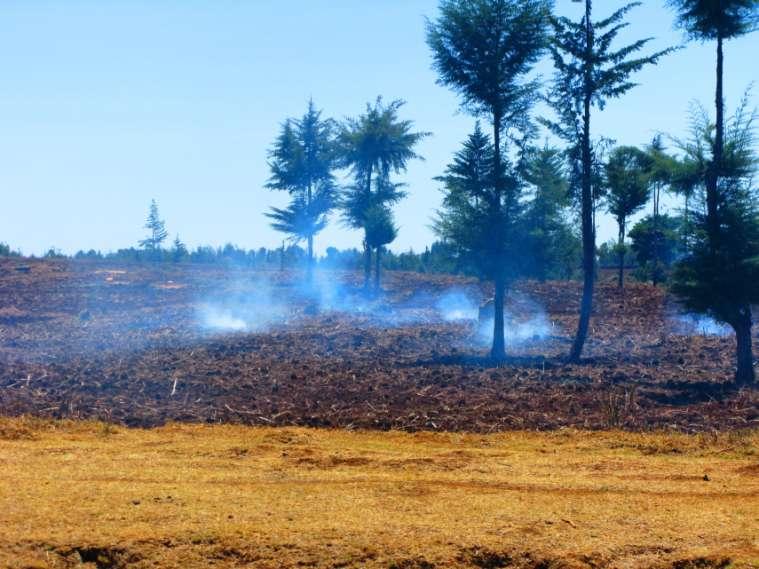 Kenya Burning of Crop Residues