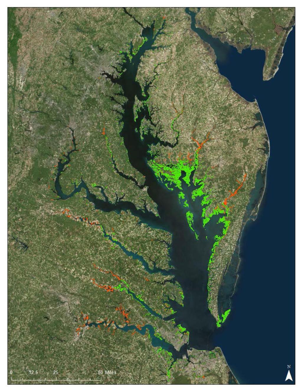 Chesapeake Bay Tidal Wetlands Extent from National Wetlands Inventory. Determined largely from vegetation perceived via aerial photography.