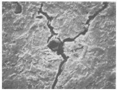 48 THE ANNALS OF UNIVERSITY DUNĂREA DE JOS OF GALAŢI Thus, figure 4 presents the cracks occurring around an oxide inclusion, due to brittleness by hydrogen, in a 3.5% Ni steel.