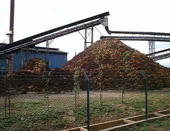 under ASEAN Biomass Research