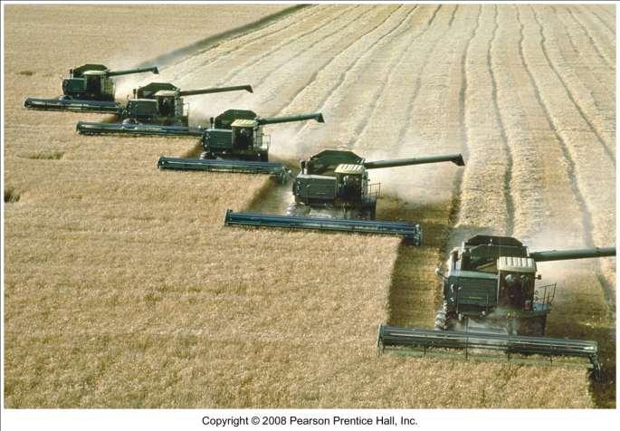 Combines on Wheat in Kansas Combines can reap,