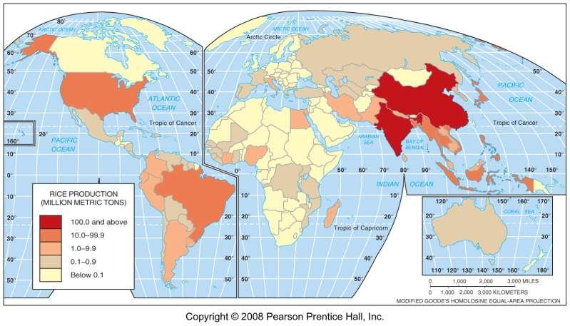 World Rice Production, 2005 Fig.