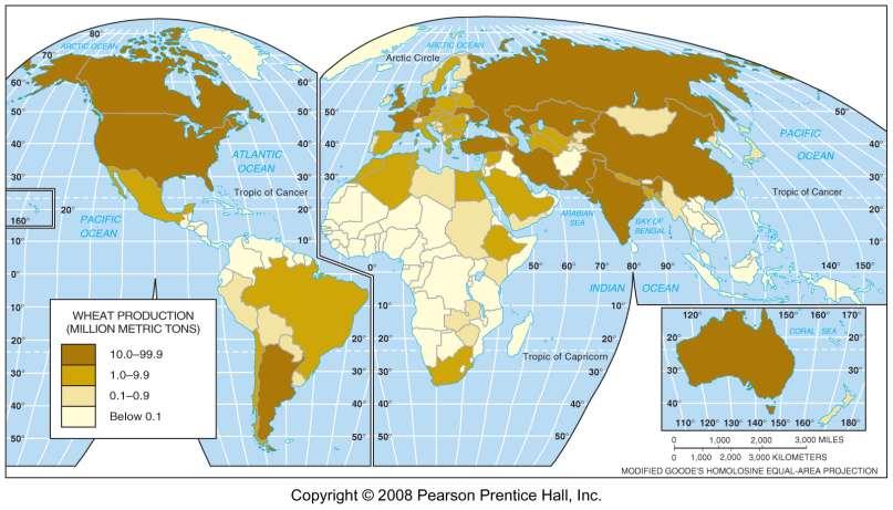 World Wheat Production, 2005 Fig.