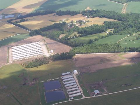 poultry CAFO