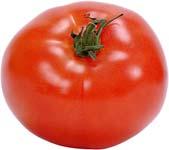 BIOTECH TOMATO Delayed-ripening tomato The delayed-ripening tomato became the first genetically modified food crop to be produced in a developed country.