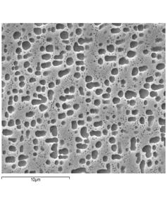 58 WANGYAO, P. et al. In Figure 4, the microstructures after heat treatment according to program No.3 show the more uniform dispersion of both coarse and very fine gamma prime precipitates.